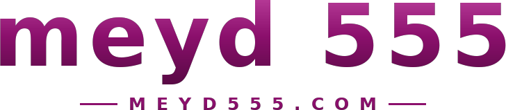 meyd 555 logo